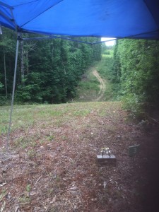 The first lane of day two, two targets in the open, down the hill