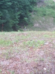 Target one in the tree (above orange strap) and target two down the hill (yellow face plate)