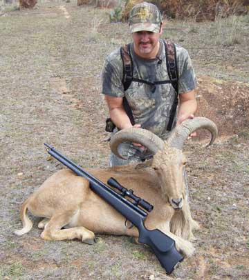 11-24-08-aoudad