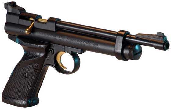09-03-10-01-Crosman-2240-pistol.jpg