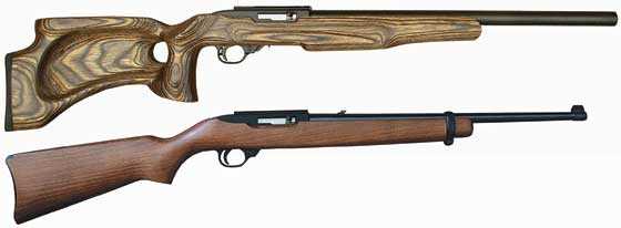 Ruger 10/22 two rifles