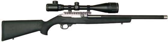 Ruger 10/22 Magnum Research 22 Magnum