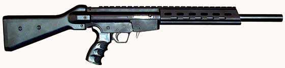 Ruger 10/22 Rhileland R22