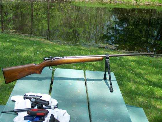 Remington 514 rifle