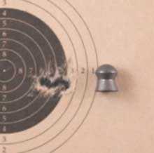 Crosman 622 Beeman Field Target Special target