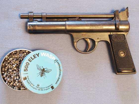 Webley Senior