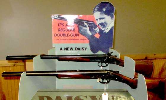 Daisy double barrel display