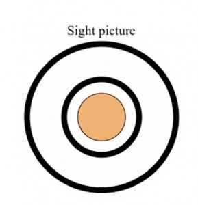 sight picture