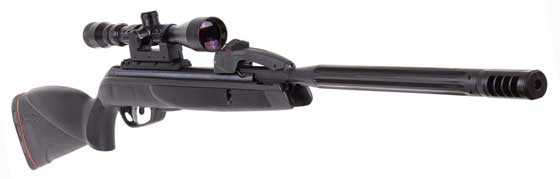 Gamo Swarm Maxim