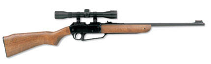 Daisy 22 SG Air rifle