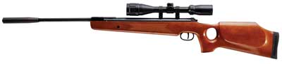 Ruger Air Hawk Elite Combo Air rifle