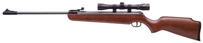 Ruger Air Hawk Combo