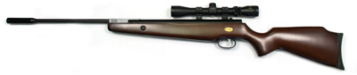 Beeman RAM Air Rifle Combo, RS2 Trigger Air rifle