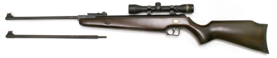 Beeman RS1 Dual-Caliber Air Rifle Combo Air rifle