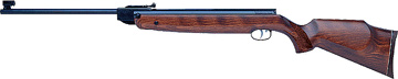 R9 Air Rifle