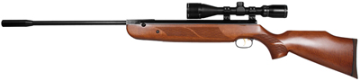 Beeman R1 Elite Series Combo