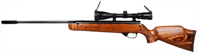 Beeman RX-2 Elite Series Combo Air Rifle