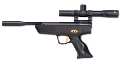 .177 Beeman P5 Double Gold