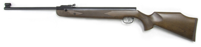 .177 Beeman R9