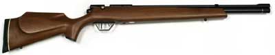 .22 Benjamin Katana