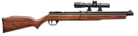 Benjamin 397 with long eye relief scope