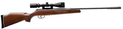 Remington Summit Air rifle