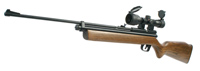 Crosman 1760SE