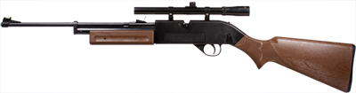 Crosman 760 Combo