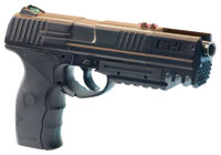 Crosman C21