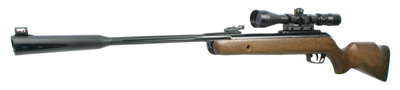 .177 Gamo Whisper Royal