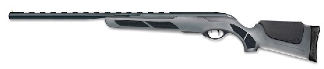 Gamo VIPER EXPRESS