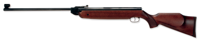 .22 Beeman HW80