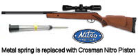 Gamo Hunter Pro w/Air Venturi Ram Air Gas Spring