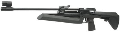 IZH 60