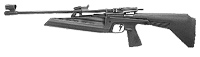 IZH 61