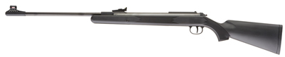 Diana RWS 34P Air rifle