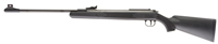 Diana RWS 34P