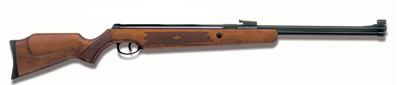 Norica Quick Air rifle
