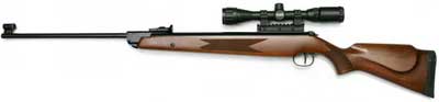.177 Diana RWS 350 Magnum Striker Combo