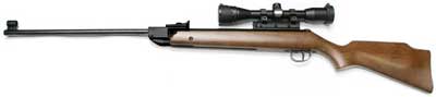 .22 Diana RWS 34 Striker Combo