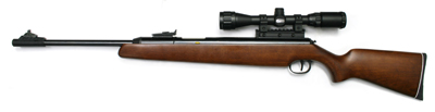 .177 Diana RWS 48 Striker Combo
