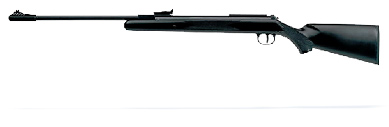 Diana RWS 34 Panther Air rifle