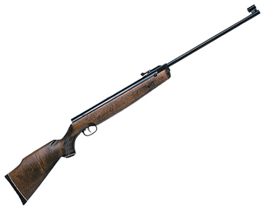 R1 Air Rifle