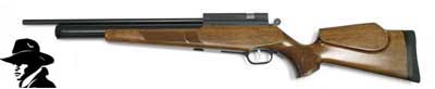 .177 Evanix Renegade Carbine