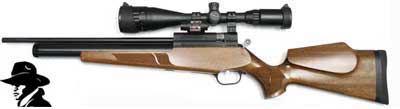 .177 Evanix Renegade Carbine Combo