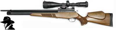 .177 Evanix Renegade Rifle Combo