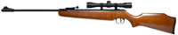 Ruger Air Hawk Combo
