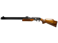 Dragon Claw Air Rifle
