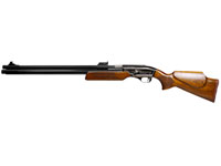 Sam Yang Recluse Air Rifle