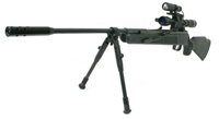 Savage Arms Enforcer Tactical Air Rifle